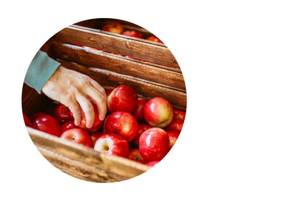 A close-up of a hand reaching for bright red apples in a wooden crate or box
