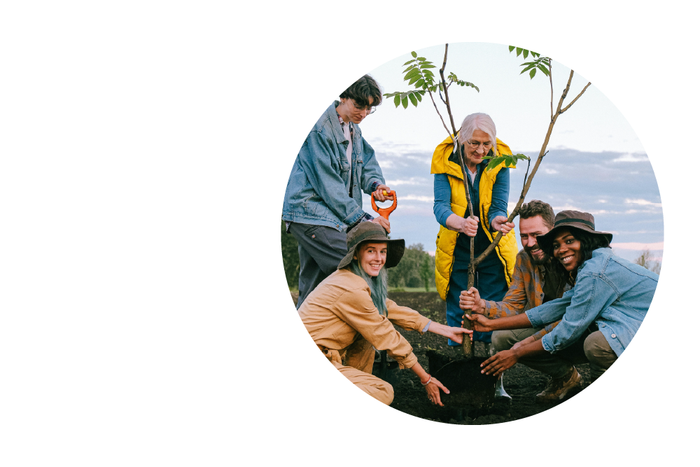 A group of diverse people planting a young tree together.