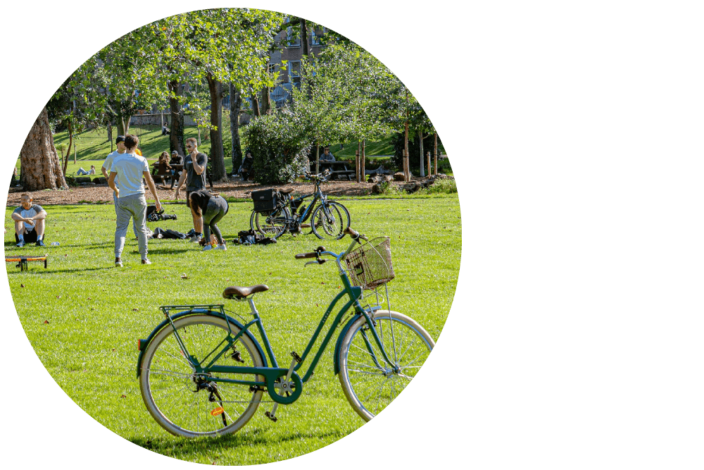A green bicycle with a basket standing in the foreground of a lush grassy park. In the background, people are relaxing and socialising on the grass and under trees.